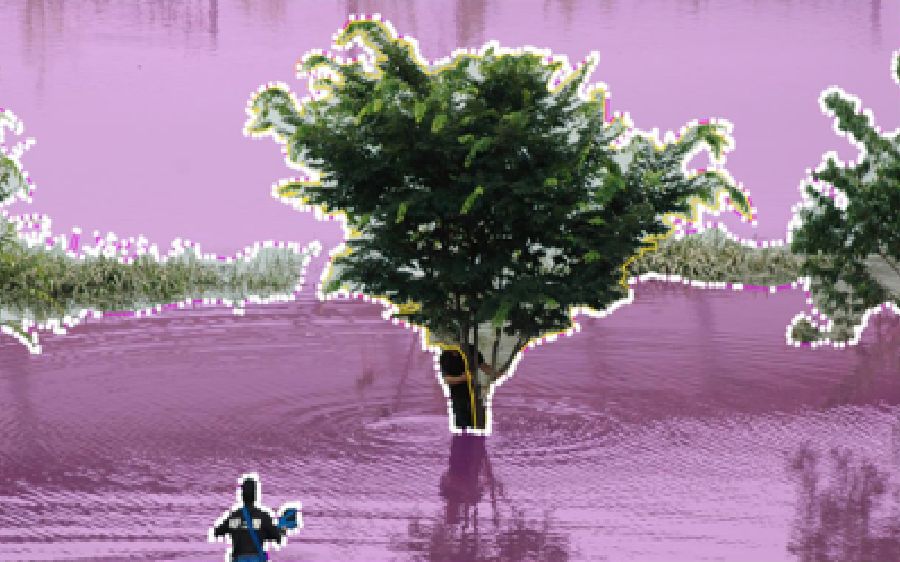 Processing natural disaster dataset